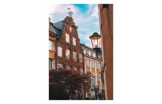 SÖKES Interim Controller 75%