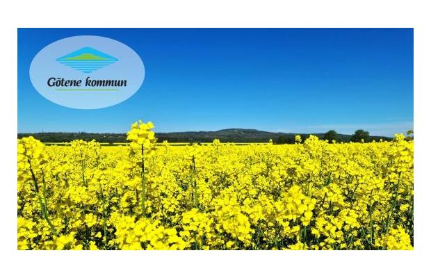 Kommundirektör till Götene kommun