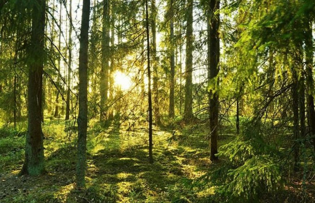 Gastroenterologer till uppdrag i Jämtland Härjedalen