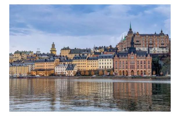 Ekonomikonsult till kommun