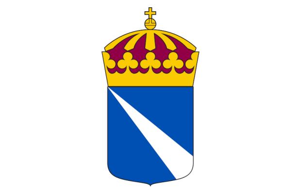 Chefsjurist/avdelningschef till Revisorinspektionen
