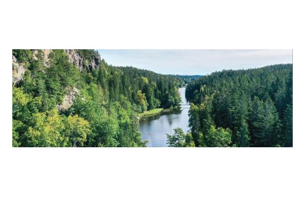Ekonomichef till Munkedal