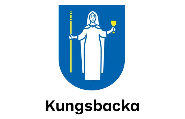 Biträdande kommundirektör