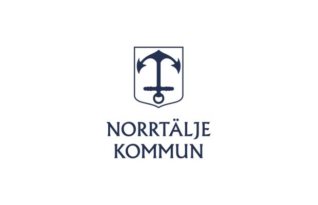 Ekonomidirektör
