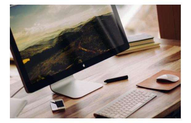Interim Insurance Director